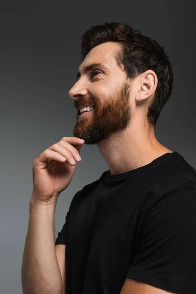 Portrait of happy man with beard in black t-shirt smiling isolated on grey - foto de stock