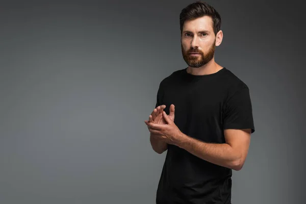 Confident man with beard standing in black t-shirt and looking at camera isolated on grey - foto de stock