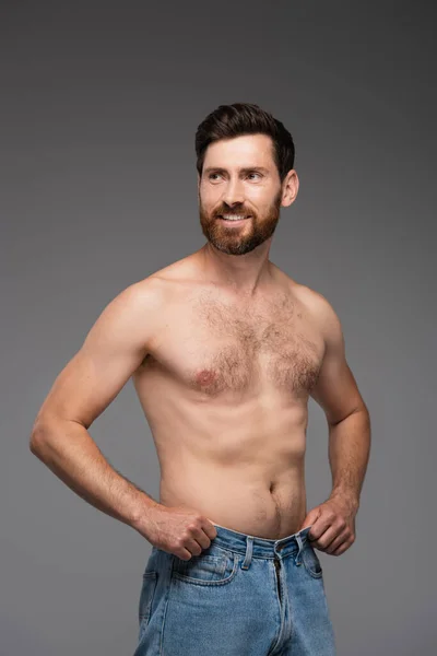 Joyful and shirtless man with beard adjusting denim jeans isolated on grey — Foto stock