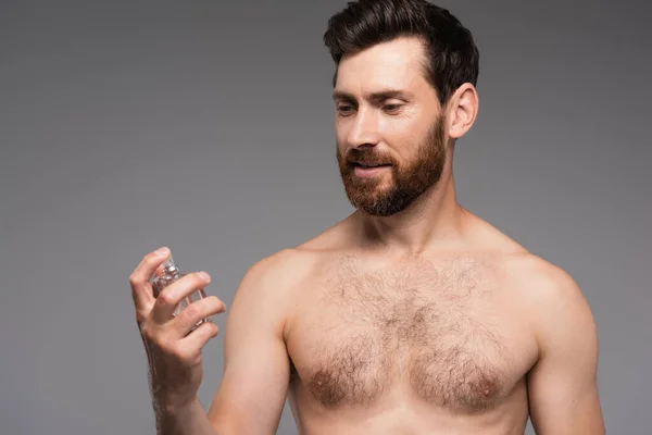 Bearded and shirtless man looking at perfume bottle isolated on grey — Photo de stock