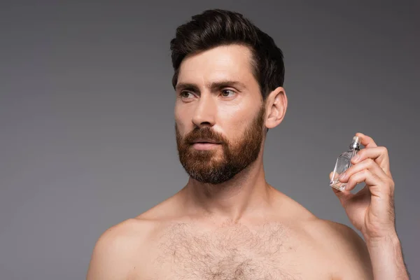 Bearded and shirtless man holding bottle with perfume isolated on grey - foto de stock