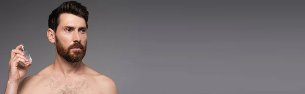 Bearded and shirtless man holding bottle with perfume isolated on grey, banner — Stock Photo