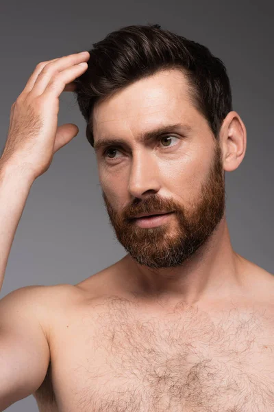 Portrait of man with beard adjusting brown hair isolated on grey — Fotografia de Stock