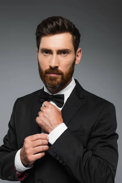 Successful man in elegant suit adjusting bow tie isolated on grey — Stock Photo