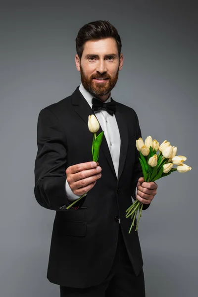 Бородатый мужчина в элегантном смокинге с бабочкой в руках тюльпаны изолированы на сером — стоковое фото