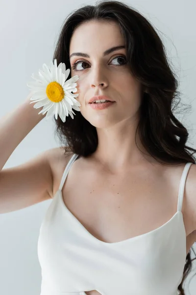Young woman in white top holding chamomile isolated on grey - foto de stock