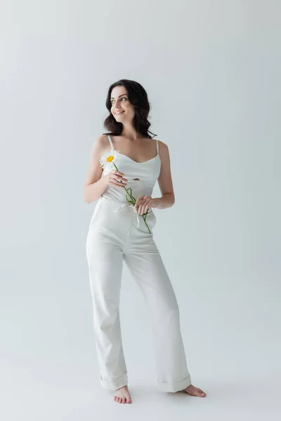 Full length of barefoot woman in white clothes smiling and holding chamomile on grey background — Foto stock