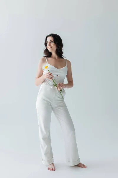 Full length of barefoot woman in white clothes smiling and holding chamomile on grey background — Stock Photo