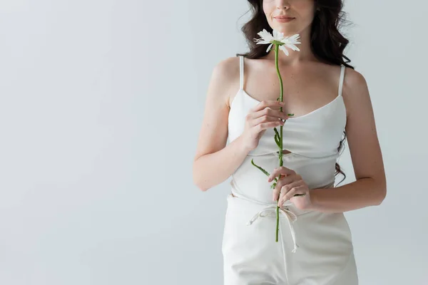 Cropped view of young woman holding chamomile isolated on grey — Photo de stock