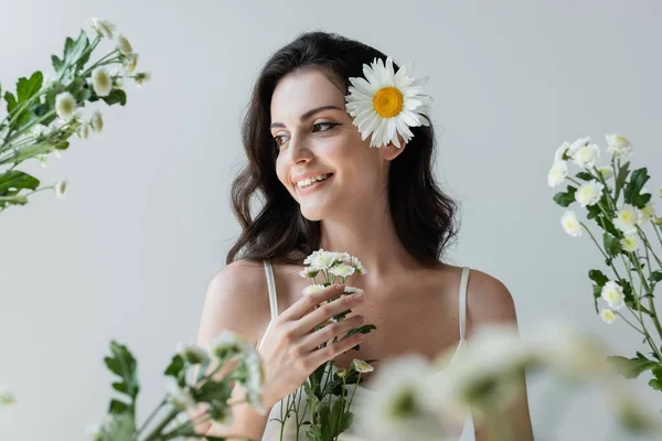 Happy brunette woman with chamomile in hair standing near blurred flowers isolated on grey — Stock Photo