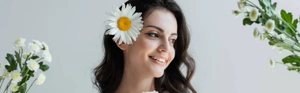 Молода брюнетка з макіяжем і ромашкою в волоссі стоїть біля квітів ізольовано на сірому, банер — стокове фото