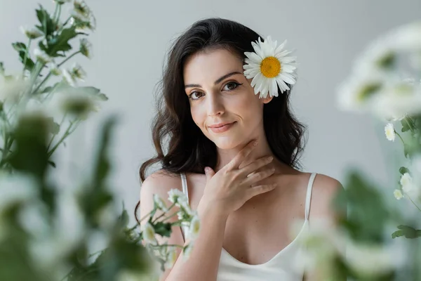 Portrait of smiling woman with chamomile in hair touching neck isolated on grey — Photo de stock