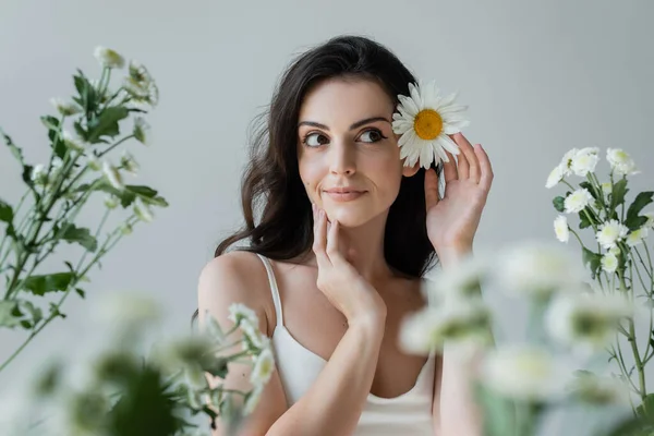 Pretty brunette woman with chamomile in hair looking away near blurred flowers isolated on grey — Fotografia de Stock