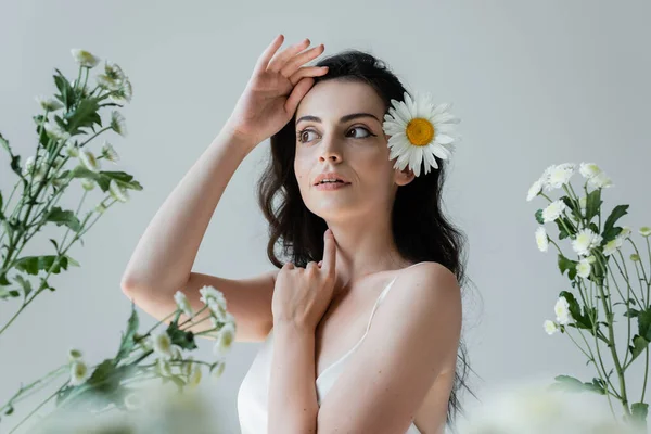 Young woman with flower in brunette hair posing near chamomiles isolated on grey — Fotografia de Stock