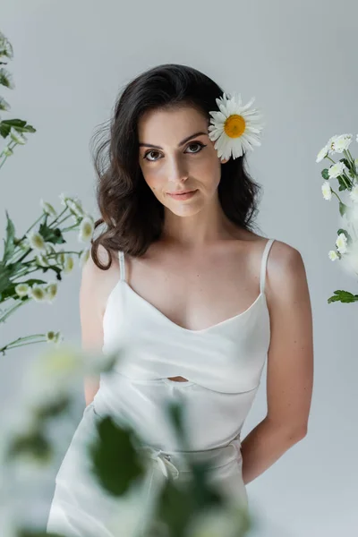 Портрет молодой модели с ромашкой в волосах, смотрящей в камеру рядом с цветами, выделенными на сером — стоковое фото