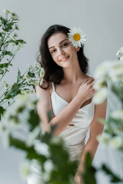 Brunette woman in white top smiling at camera near chamomiles isolated on grey — Foto stock