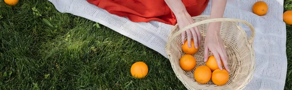 Cropped view of woman taking oranges from basket on blanket in park, banner — Foto stock