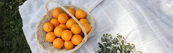 Top view of oranges in basket near flowers on blanket in park, banner - foto de stock