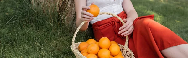 Cropped view of fashionable woman holding orange near basket in park, banner — Stockfoto