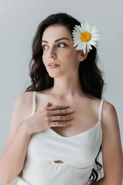 Pretty woman in white top and chamomile in hair looking away isolated on grey - foto de stock