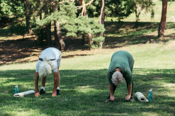 Full length of senior couple stretching backs near sports bottles and fitness mats in park - foto de stock