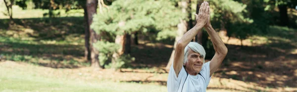 Senior man with praying hands above head practicing yoga in green park, banner — Stock Photo