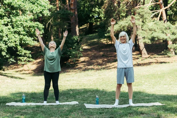 Full length of cheerful senior man and woman with raised hands exercising on fitness mats in park - foto de stock