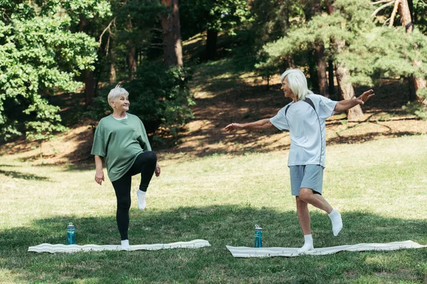 Full length of happy senior man and woman exercising on fitness mats in park — Stockfoto