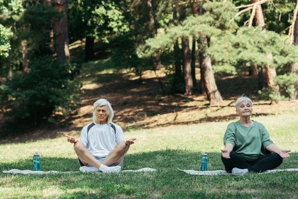 Full length of senior couple sitting in yoga pose and meditating on fitness mats in green park — Stockfoto