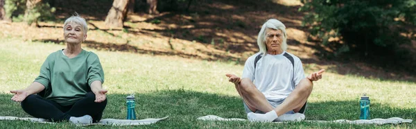 Full length of senior couple sitting in yoga pose and meditating on fitness mats in green park, banner - foto de stock