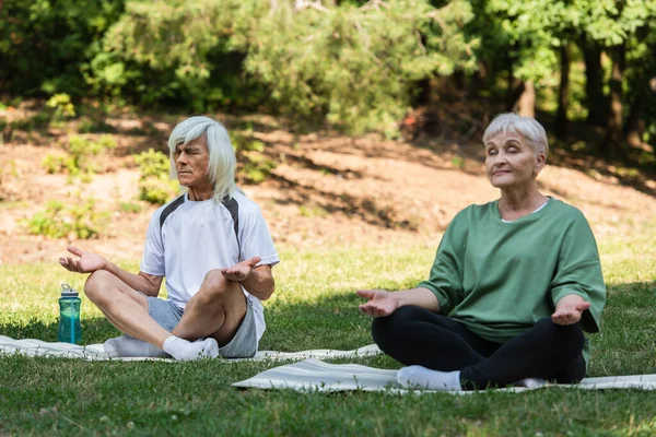 Full length of senior couple with grey hair meditating on fitness mats in green park — Photo de stock