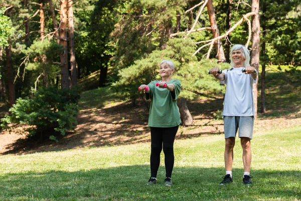 Full length of happy senior couple in sportswear exercising with dumbbells in green park — Stock Photo