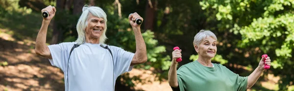 Cheerful senior couple in sportswear exercising with dumbbells in green park, banner — Fotografia de Stock