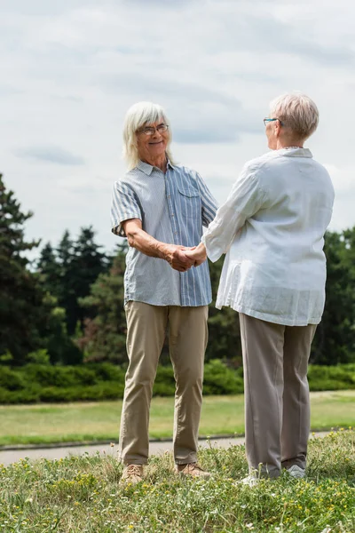 Happy senior husband and wife with grey hair holding hands and standing on green hill in summer — Stockfoto