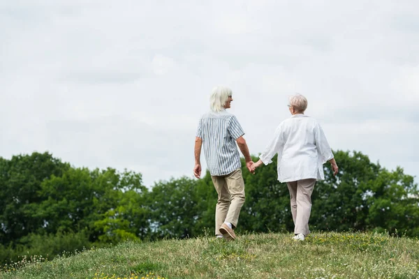 Full length of senior couple in glasses holding hands and walking on green hill in summer — Fotografia de Stock