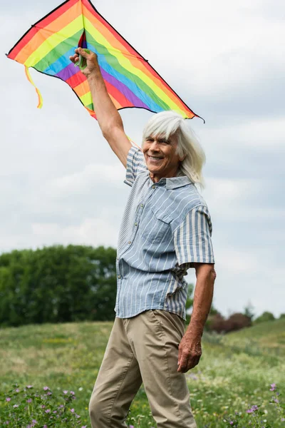 Happy senior man in casual clothes holding kite and standing on green hill — Fotografia de Stock