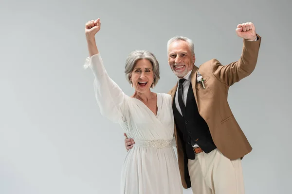 Excited and mature newlyweds looking at camera and rejoicing isolated on grey - foto de stock
