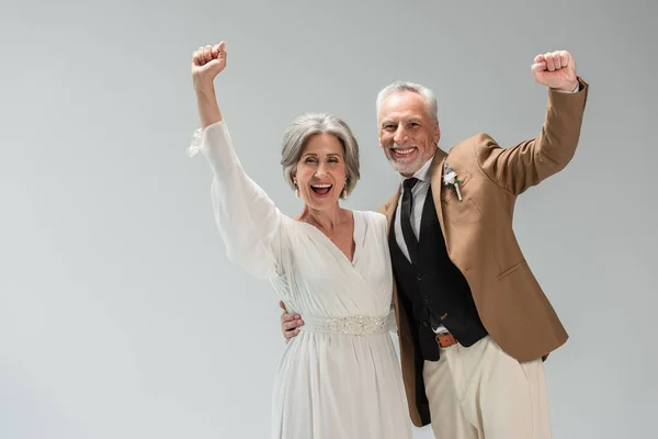 Excited and mature newlyweds looking at camera and rejoicing isolated on grey — Foto stock