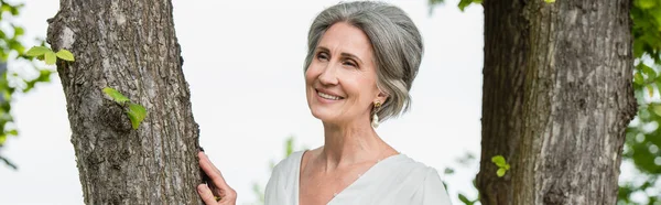 Joyful middle aged woman in white dress touching tree trunk in park, banner — Stockfoto
