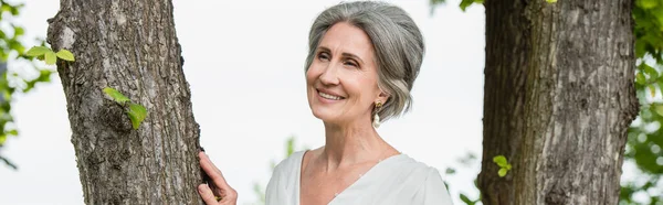 Joyful middle aged woman in white dress touching tree trunk in park, banner — Fotografia de Stock