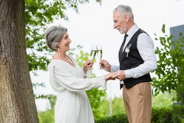 Side view of happy and middle aged newlyweds holding glasses of champagne in green garden — Photo de stock