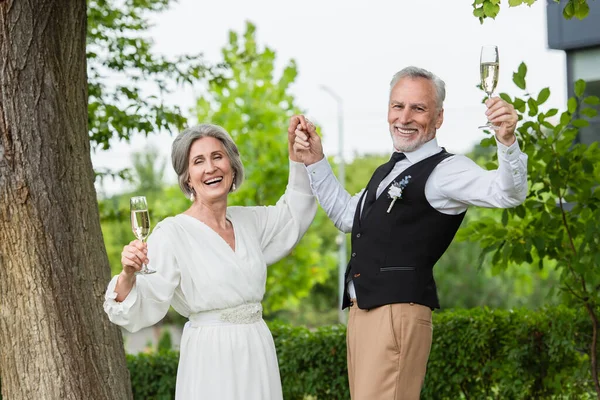 Joyful and mature newlyweds holding glasses of champagne in green garden — Stock Photo