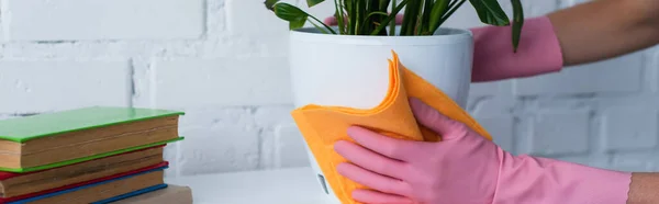 Partial view of housewife in rubber gloves cleaning flowerpot with rag, banner — Stock Photo