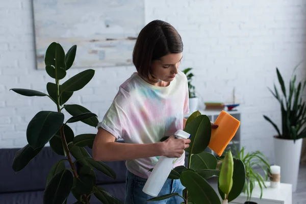 Brunette woman holding detergent and rag while cleaning plant at home — Stock Photo