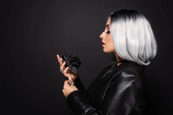 Side view of woman in ash blonde wig and leather jacket holding dark rose isolated on black — Stock Photo