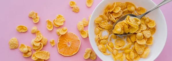 Vista superior de naranjas secas cerca del tazón con hojuelas de maíz y leche orgánica en rosa, pancarta - foto de stock