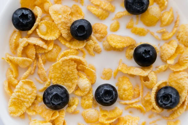 Close up view of crispy corn flakes in bowl with organic milk and blueberries — Stock Photo