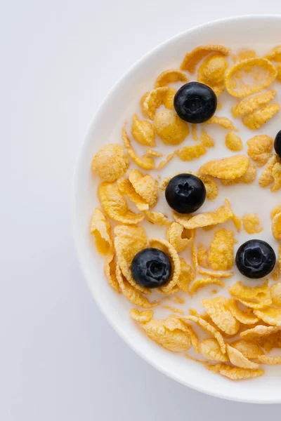 Top view of corn flakes in bowl with organic milk and fresh blueberries isolated on white — Stock Photo