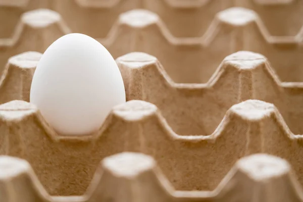 Close up view of white egg in recyclable cardboard tray — Stock Photo