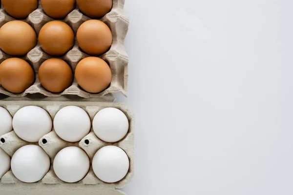 Top view of natural eggs in containers on white background — Stock Photo